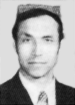 ��ľ�ᡤ������ 