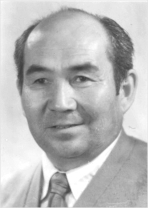 �����ްݡ�Ҷ�߰� 