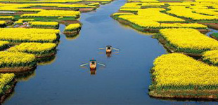 �������ҵĵ�����ѧ�����õ�����ѧ��ĳ���Ͽɣ�һ�����������ѧ�����ص����ѧ���ɡ������º���ѧ���ɡ����γɡ�