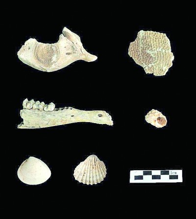 ����ƽ̶����ͷ��ַ���������Ŵ档��������ֹ�ͼ