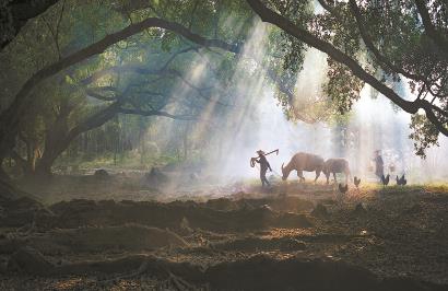 ֻ����������������ʵ������д���õ�������ѧ�� �Ӿ��й���ͼ