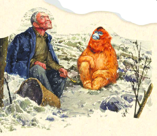 �������ϲܡ���ͼ