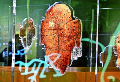 河南安阳殷墟博物馆新馆内展出的刻辞卜甲。 新华社记者 李安摄