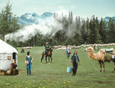 ���Ӿ硶�ҵİ���̩������