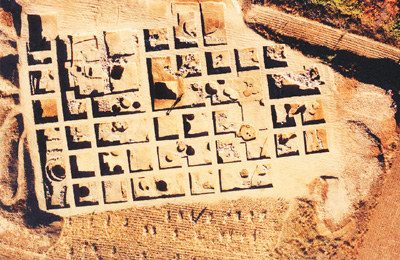 ��ţ������ַ��ʮ���ص�ȫ��