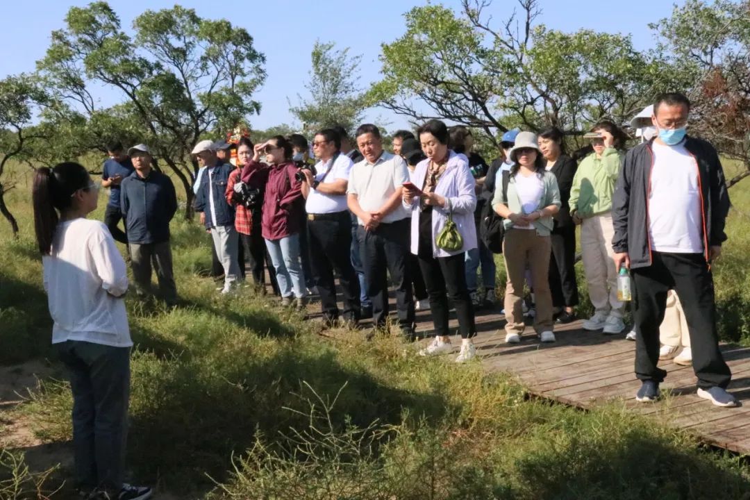 ���ҷ�����߽���ţ����