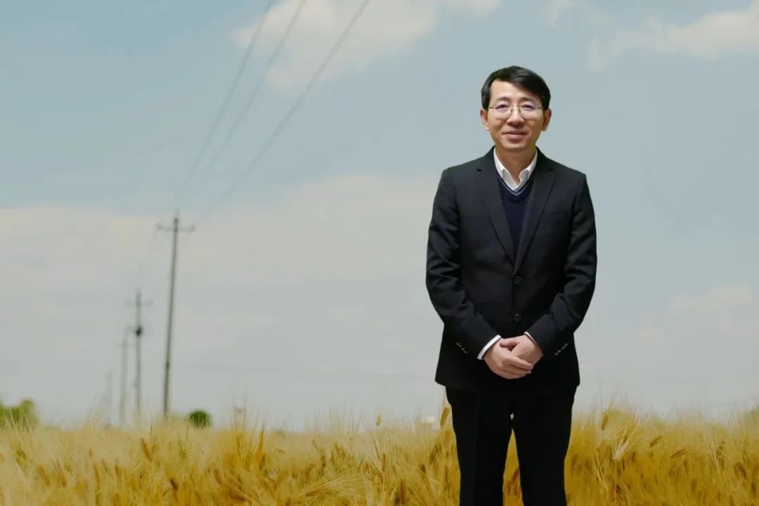 罗长青,男,1981年生,湖南衡阳人;博士毕业于南京大学,曾在复旦大学中国语言文学博士后流动站从事博士后研究,曾任贵州师范大学文学院教授,博士研究生导师;现为广东外语外贸大学中国语言文化学院教授;主要从事中国当代文学与文化现象研究。