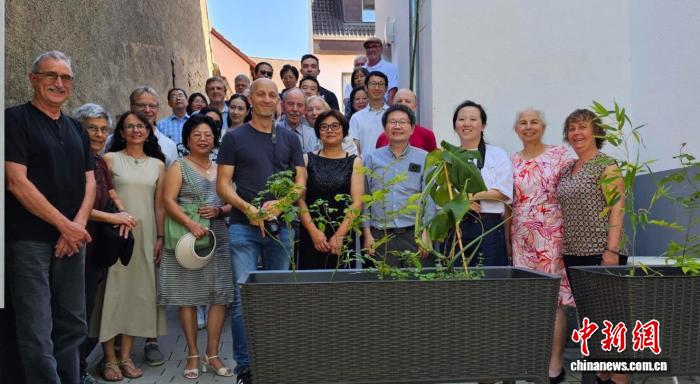 ͼΪ������ߴ��Ӱ��Rico Kaufmann ��