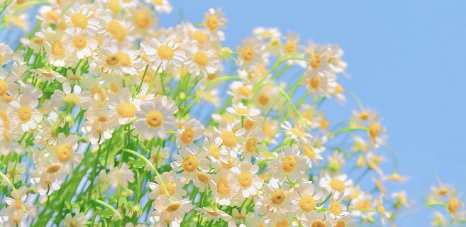 编辑部里的温暖