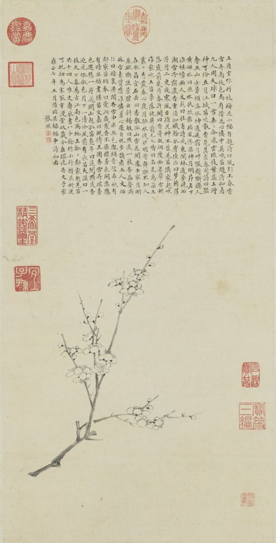 �� ���ա���������÷������ ̨���ʹ�����Ժ��