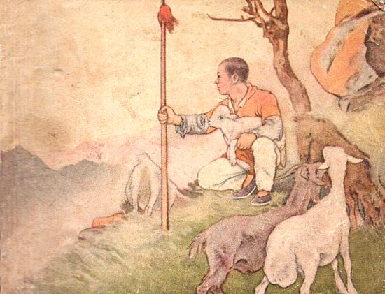 ����ë�š���ͼ ������ ��