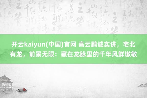 开云kaiyun(中国)官网 高云鹏诚实讲，宅北有龙，前景无限：藏在龙脉里的千年风鲜嫩敏
