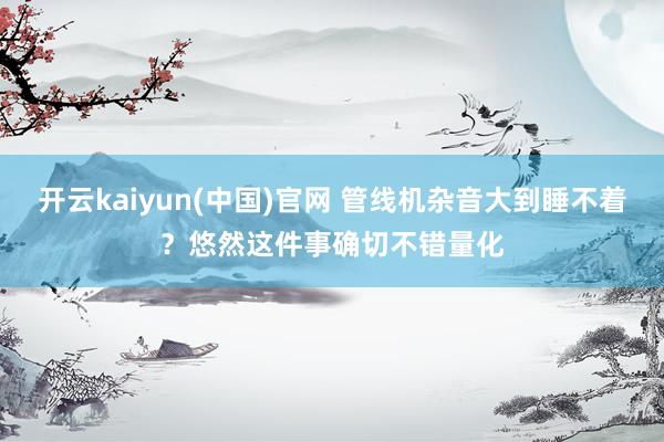 开云kaiyun(中国)官网 管线机杂音大到睡不着？悠然这件事确切不错量化