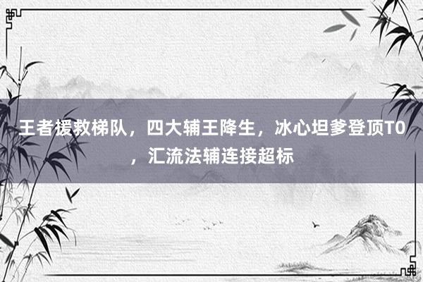 王者援救梯队，四大辅王降生，冰心坦爹登顶T0，汇流法辅连接超标