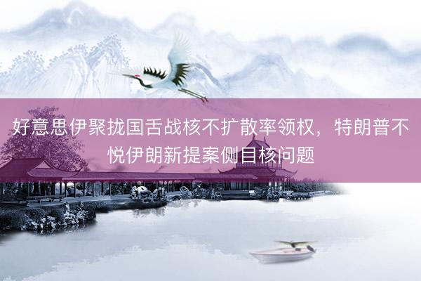好意思伊聚拢国舌战核不扩散率领权，特朗普不悦伊朗新提案侧目核问题